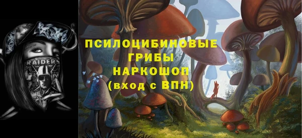СК Алзамай