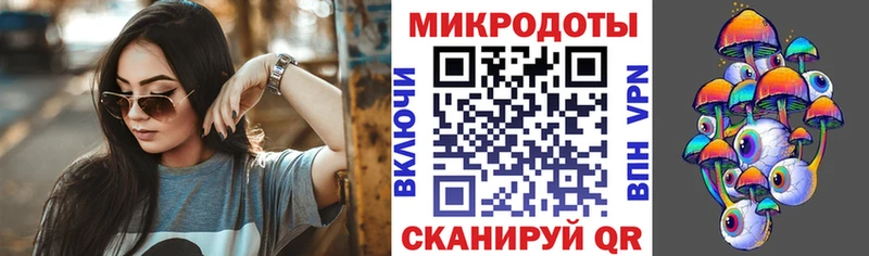Галлюциногенные грибы Psilocybe  Сольвычегодск 